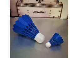 Badminton birdie