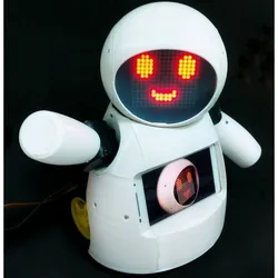 Joy Robot (Robô Da Alegria)
