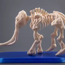 Mammoth Fossil
