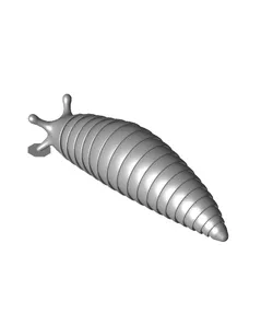 slug