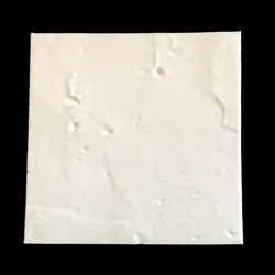 Apollo 11 Landing Site