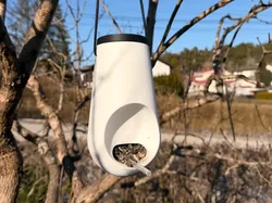 Modern Hanging Bird Feeder - Free 3D Print Model