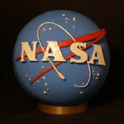 NASA Insignia