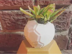 Planter V7 - An Odd Planter