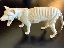Tasmanian Tiger (Tasmanian Wolf - Thylacine) Model - Free 3D Print Model