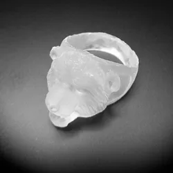Ring Bear