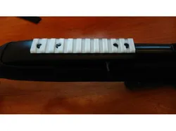 Ruger 10/22 Picatinny Rail