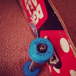 Skateboard Wheels