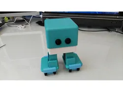 Zowi roller skates