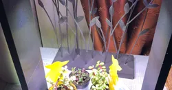 Plant Light