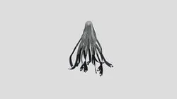 Raven Hair Stellar Blade