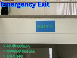 Emergency Exit INDICATORS - Free 3D Print Model