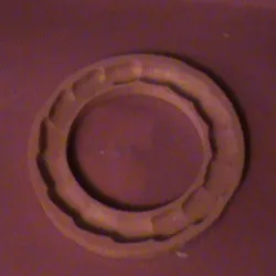 Pie crust molds