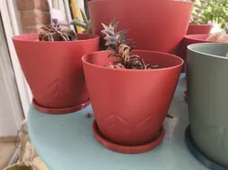 Simple Flower Pot Saucers (Drip Tray) (Blumentopf Untersetzer)