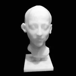 Head of Maxime