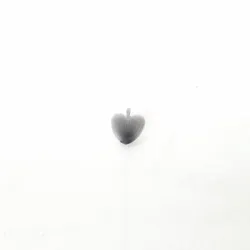 Shell Heart