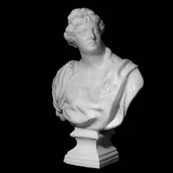 A Young Woman (Roman)
