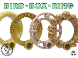 BIRDBOX - RING