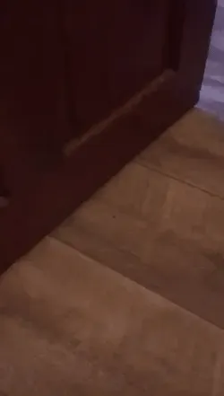 door stop - Free 3D Print Model