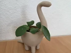 Dino Planter / Brachiosaurus Planter - Free 3D Print Model