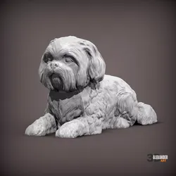 British Shih Tzu 3D print model