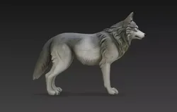 Wolf Side View Standing Realistic Animal STL Model 3D print model