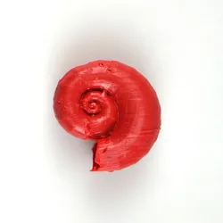 A Shell She’ll Adore
