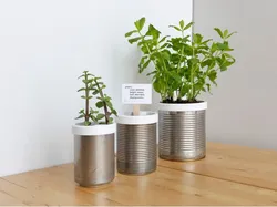 Campbell Planter - Fully 3D Printed Self-Watering Planter