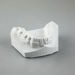 Teeth