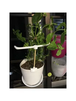 Plant Support - IKEA Bygel container hack