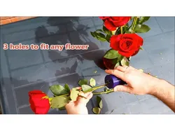 Rose Thorn Remover