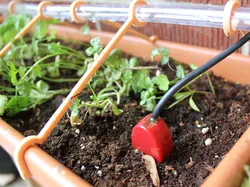 Clear tube support for window planter - 7/16"