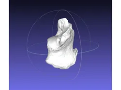 High resolution Human Calcaneus (Heel Bone) Scan