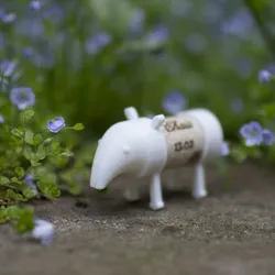 CORK PALS: TAPIR-REX