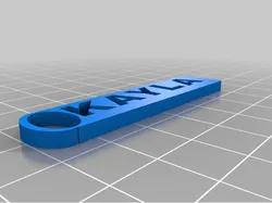 key ring