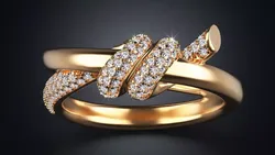 ring knot 3D print model