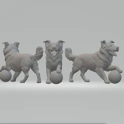 Border Collie stl file