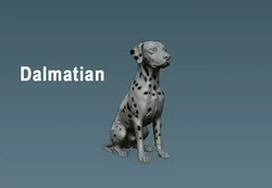 Dalmatian Dog  Seated Sculpture 3D print model