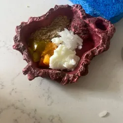 Free Props & Terrain STL Download - Hermit crab food dishby user7063207921