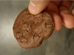 High Res Scan, Chocolate Chip Cookie.