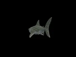 Low Poly Stylized Exotic Green Shark - 8K Low-poly 3D model