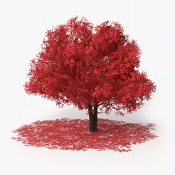 Lowpoly Realistic Decorative Red Maple with Fallen Leaves Low-poly 3D model