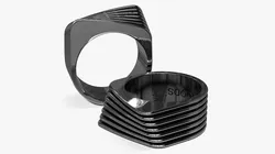 Panwoods Argentum Number 2 Ring 3D model