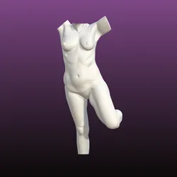 Perfection Bust (with base
