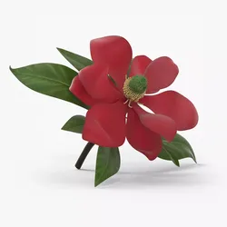 Red Magnolia Flower with Green Leaves 3D model