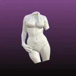 Sexy Bikini Bust