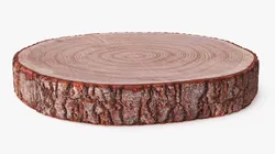 Wooden Log Slice Round Brown 3D model