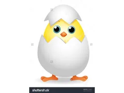 Chick in Egg