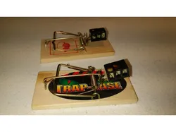 Mouse Trap Enhancer