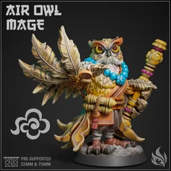 Air Owl Mage - Windweaver Stance - Buddhist Inspired